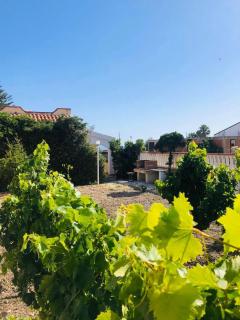 Blu Marzamemi Rooms - 4