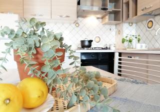 HoliHome_Mediterraneo - Splendido, 50m dal mare - 4