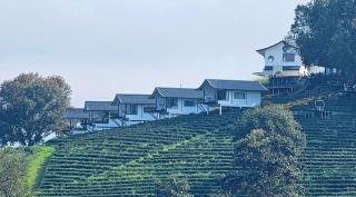 WATA KHIRI by Wang Put Tan - 8