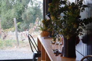 Viña LOF - Maipo Valley Bed & Breakfast in Winery - 8