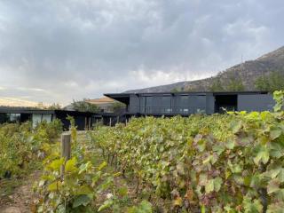 Viña LOF - Maipo Valley Bed & Breakfast in Winery - Paine - 5
