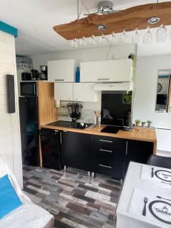 Appartement confortable labellisé saint lary - Vignec - 3