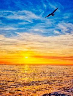 SunWaves Apartments - Mamaia - 3