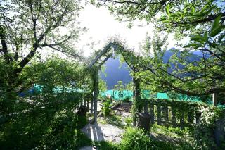 Himalayan Mud Resort - Kasol - 7