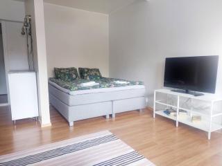 Spacious studio apartment near the center of Joensuu - 3