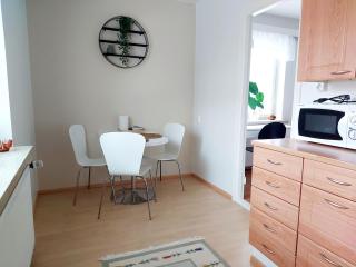 Spacious studio apartment near the center of Joensuu - 2