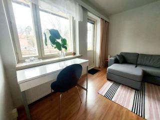 Spacious studio apartment near the center of Joensuu - 7