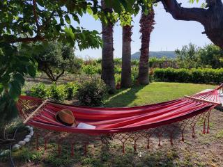 The Three Palms Samos Seaside Villa - Mesókampos - 5