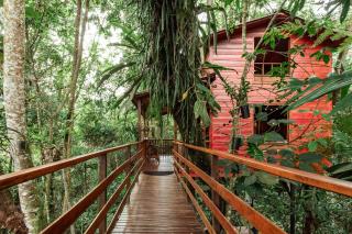 Tominejo Ecolodge - Casas en los árboles - 1