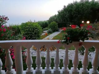 Cassiopea B&B Marina di Camerota SA - Marina di Camerota - 5