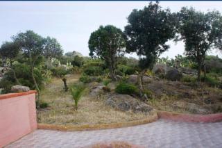 VILLA CATERINA - Calasetta - 6