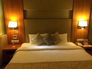 Apart-Hotel Unico EVN Airport - Yerevan - 4
