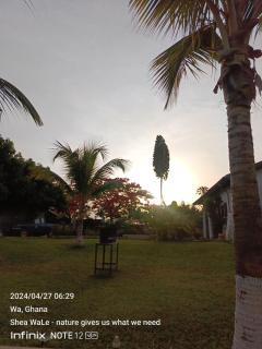 BeautyByNature Estate by "Khadija&Family", limited number of only 2 private rooms, homemade vegetarian dishes in a wonderful setting, - Wa - 7