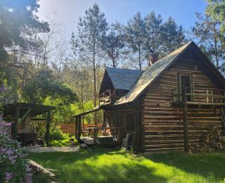 Dzwonkarnia Domek w lesie z boiskiem do siatkówki - - 1