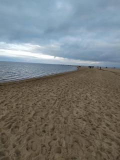 Piaskowa 44A - Apartament Krynica Morska-Piaski - 1