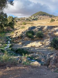 El bufon de la corte - 3
