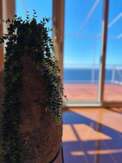 Apartment in Murter with sea view, terrace, air conditioning, Wifi 5026-3 - 3
