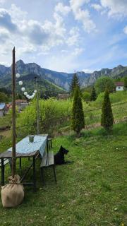 Pensiunea Bia Papadia - 3