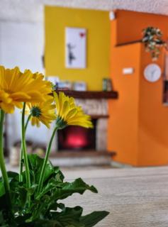 La Casina di Sotto - Castelnuovo di Garfagnana - 9