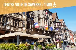 Les Rives du Château, 90m2, vue sur le canal - Saverne - 1