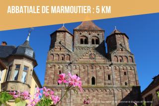 Les Rives du Château, 90m2, vue sur le canal - Saverne - 4