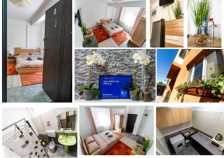Casa DARYA-24h Check-in - Bucharest - 8