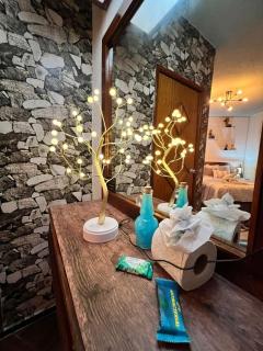 Hotel Los Diamantes - Orizaba - 5