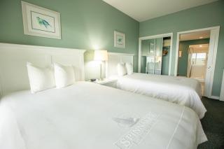 Palace View Heights by Spinnaker - Branson - 2