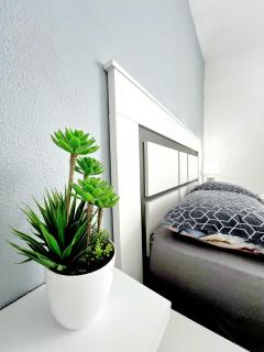 Mar Baltico apartments - Torrevieja - 0