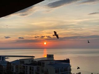 Spacious seaview apartments, 100m to the beach - 5