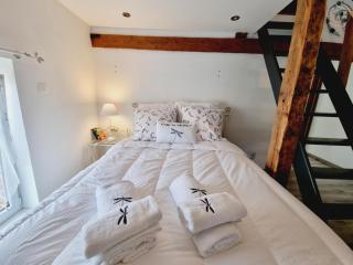 Charmante maison avec jardin, spa à proximité, idéale pour famille et couple, animaux acceptés - FR-1-510-214 - - 5