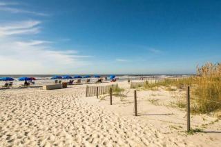 Salty Shores! -Incredible ocean views - Hilton Head Island - 4