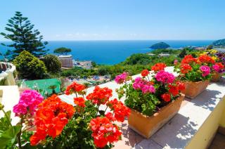 Hotel Terme Saint Raphael - Ischia - 9