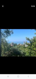 Eco guesthouse - Batumi - 7