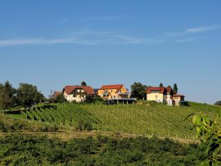 Weinhof Reichmann - Sankt Peter am Ottersbach - 0