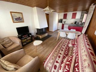 Appartement cosy au cœur de Châtel, proche télécabine et activités avec Multi Pass à 3€/jour! - FR-1-693-69 - Châtel - 0