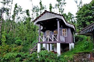 Jungle Greens Homestay - Water Activities, 150Y Estate, Home Food - Chikmagalūr - 9