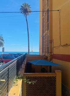 BEACH&GARDEN - 2