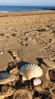 JUNO Appart - Courseulles-sur-Mer - 3