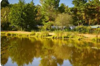 Mobilhome proche Puy duFou - La Boissière-de-Montaigu - 7