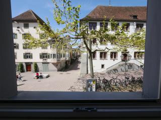 Ferienwohnung Seeromantik in 2 Minuten am See - Radolfzell am Bodensee - 9