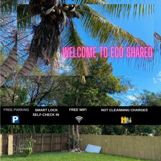 Parnasus Wynwood - 0