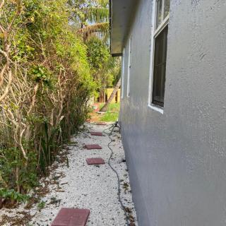 Parnasus Wynwood - 7