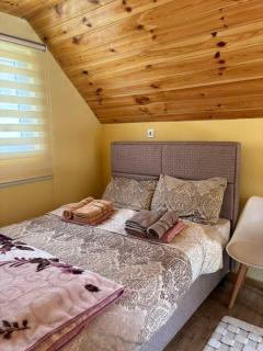 Studio apartmani Anastasija - Žabljak - 1