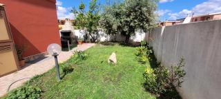 Kokky's Home - Su Forti - 6
