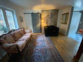 Villa Rjukan - Rjukan - 1