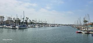 1BDR in the heart of Marina Del Rey - Los Angeles - 3