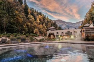 Studio cosy esprit chalet - Combloux - 1