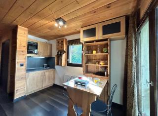 Studio cosy esprit chalet - Combloux - 6