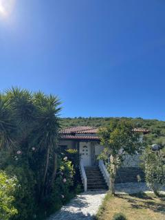 Villa Alexandros - Amolianí - 9